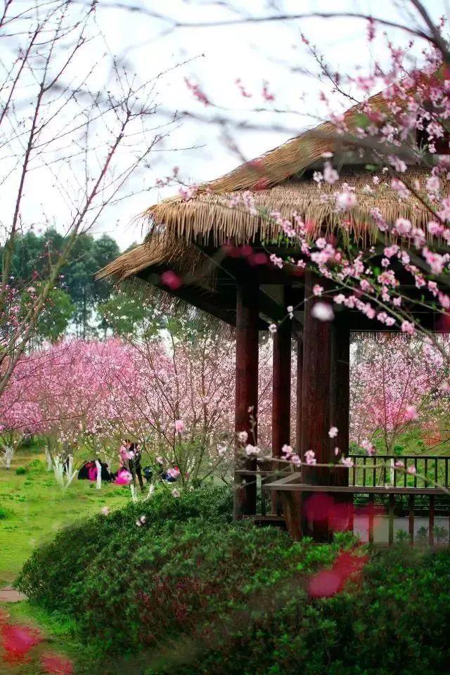 空中战队