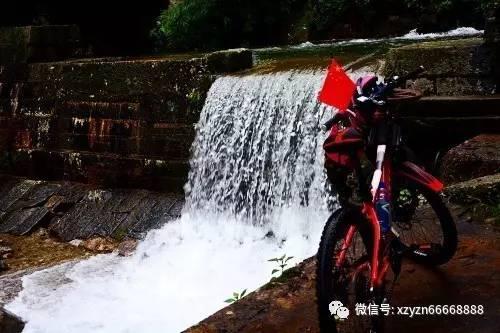 in the tree 和on the tree的区别是什么？游戏画面