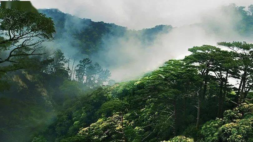 地砖空鼓最佳处理方法- 专业有问必答平台