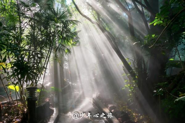 巴西西北边境地区发生6.5级地震