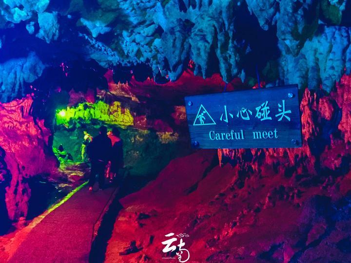 辽宁富豪韩召善买断盼盼商标使用权，打假“新盼盼”获赔超1亿