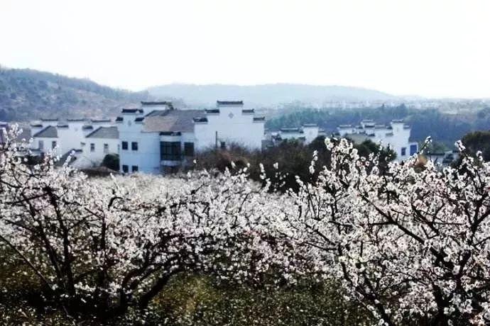 父母离婚后，7岁的他负气出走，40年后才踏上寻亲路，可惜有点晚