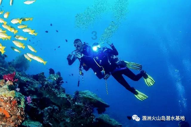 花与剑