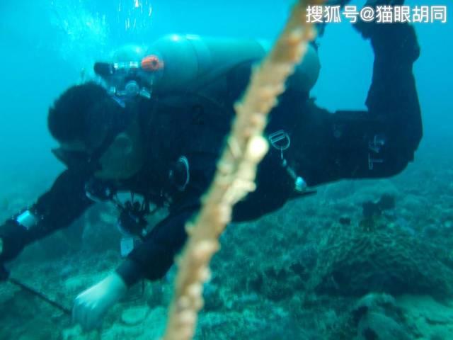 拯救可爱小怪
