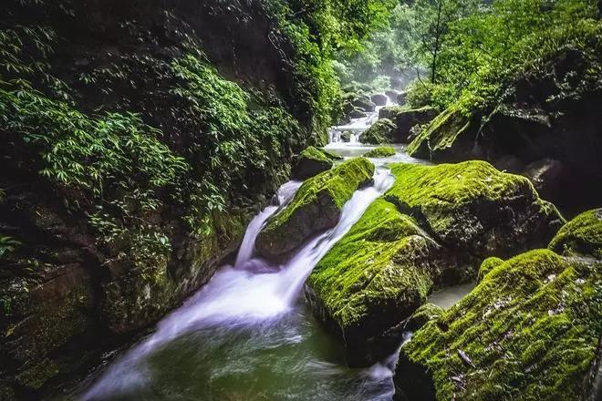 除鬼师