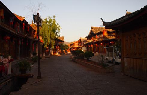 这是什么植物,一种花?- 专业问答类网站