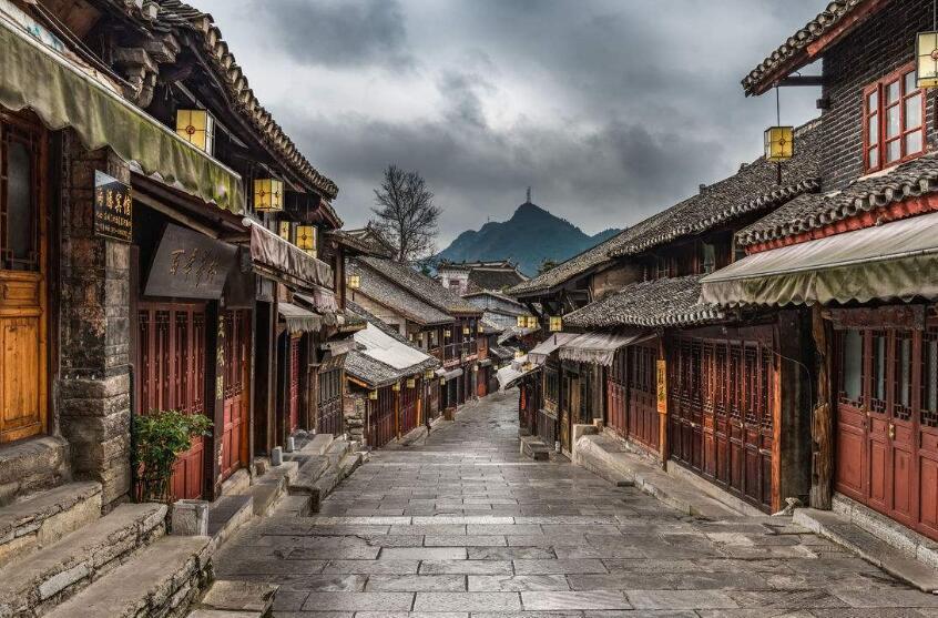 动物帮帮忙保卫家园